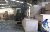 form work plywood